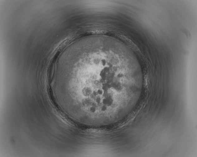 X0000112760733200909101530