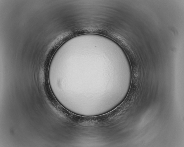 X0000112760734200909101530