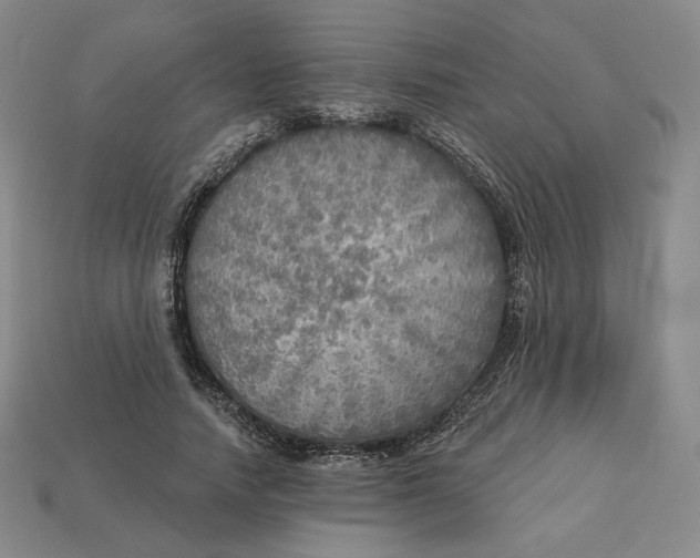 X0000112760738200909101530