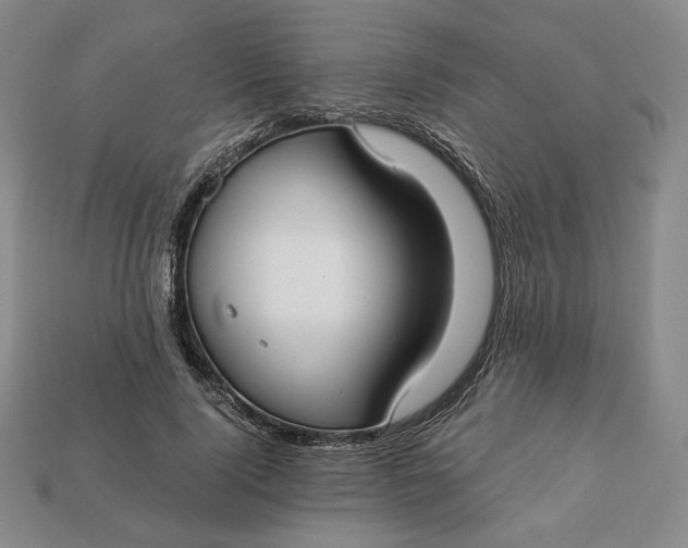 X0000112760740200909101530