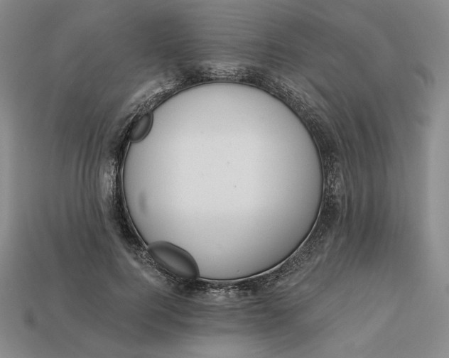 X0000112760744200909101530