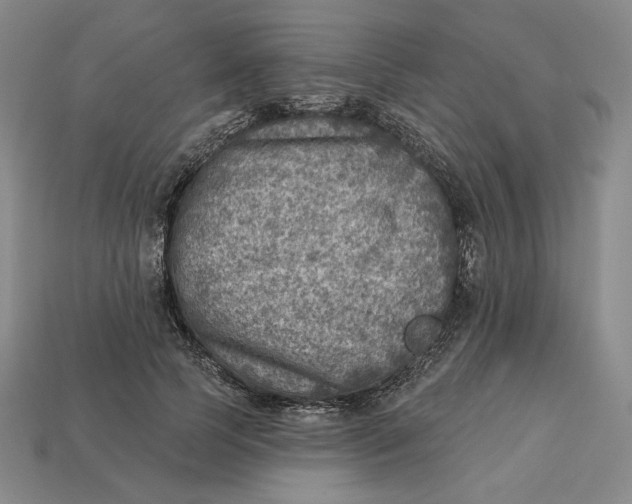 X0000112760745200909101530