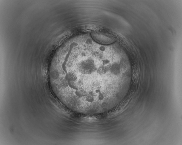 X0000112760749200909101530