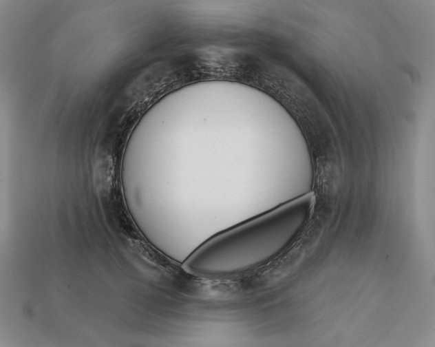 X0000112760752200909101530