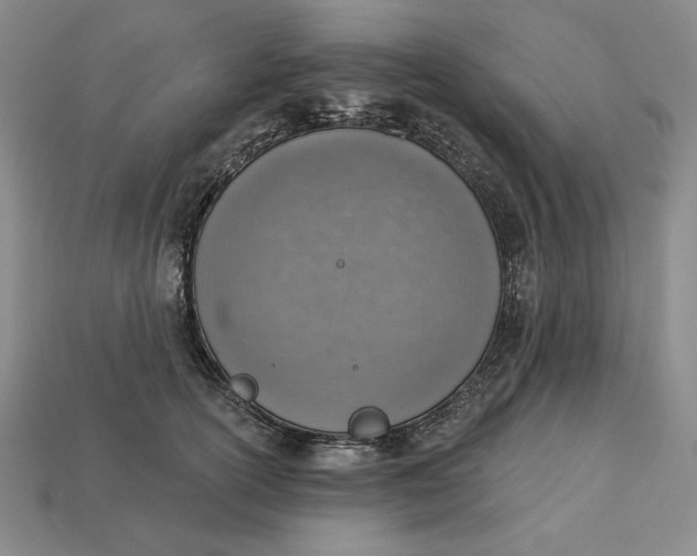 X0000112760754200909101530