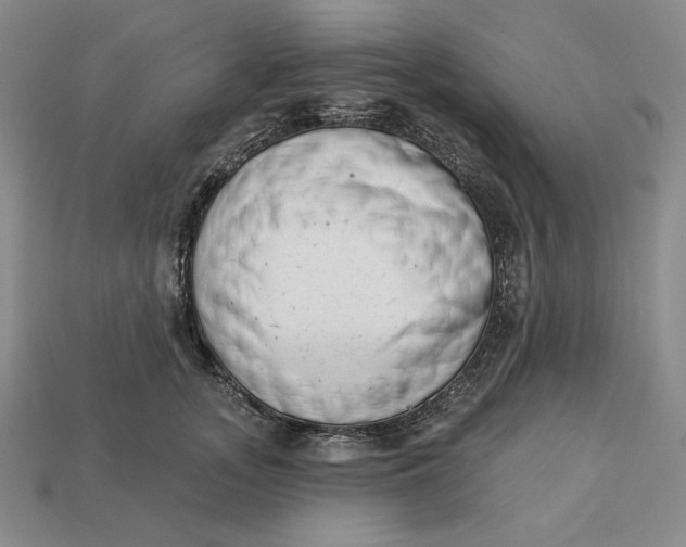X0000112760755200909101530
