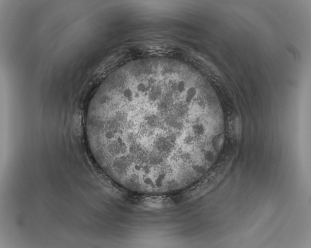 X0000112760757200909101530