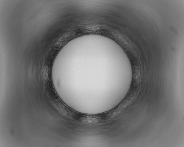 X0000112760758200909101530