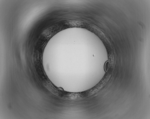 X0000112760762200909101530
