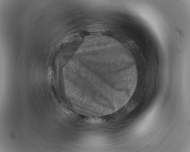 X0000112760767200909101530
