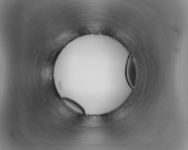 X0000112760768200909101530