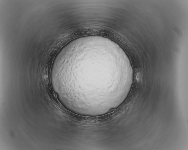 X0000112760771200909101529