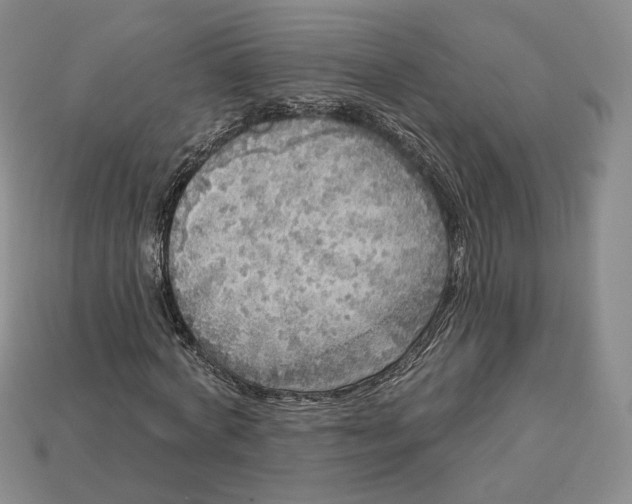 X0000112760772200909101529