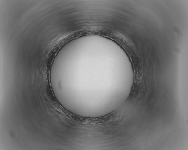 X0000112760773200909101529