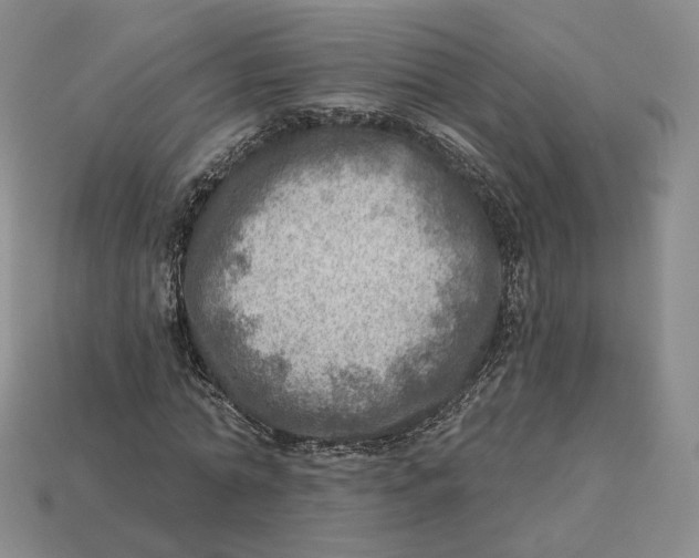 X0000112760774200909101529