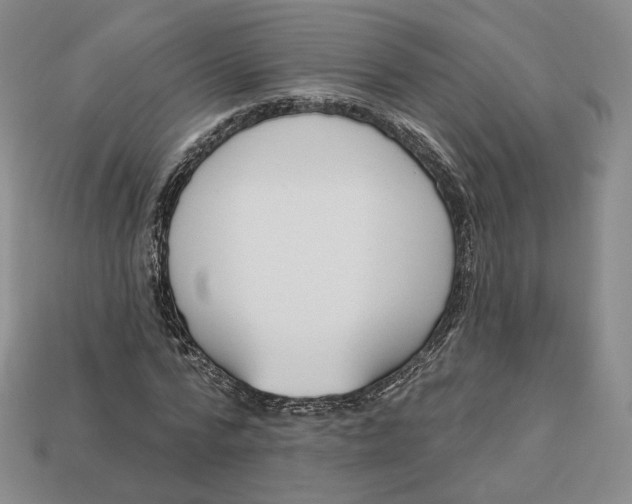X0000112760776200909101529