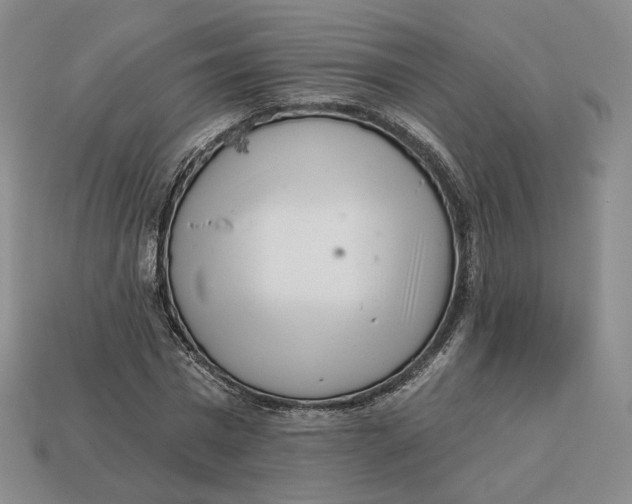 X0000112760777200909101529