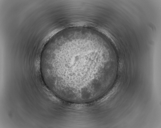 X0000112760778200909101529