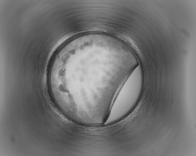 X0000112760780200909101529