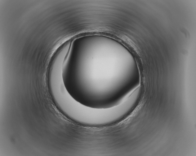 X0000112760781200909101529