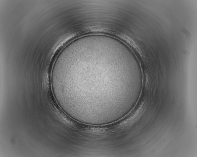 X0000112760782200909101529