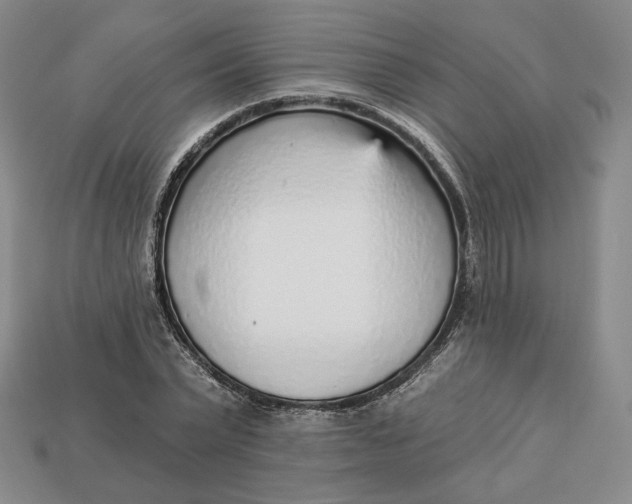 X0000112760783200909101529