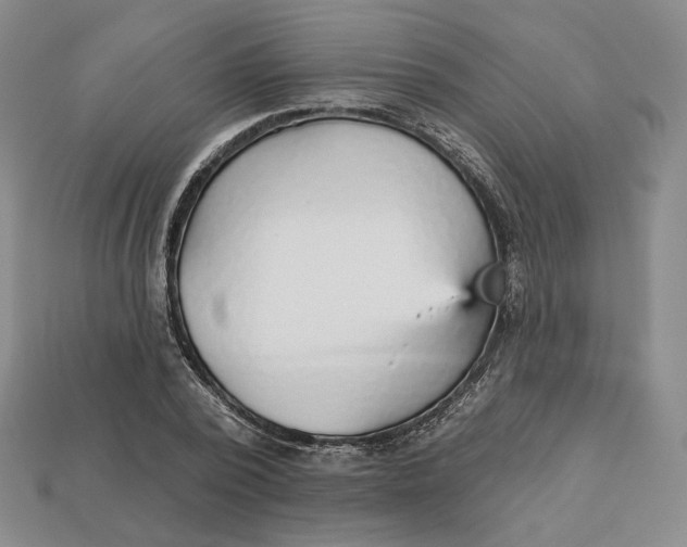 X0000112760784200909101529