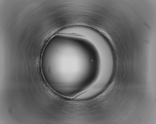 X0000112760785200909101529