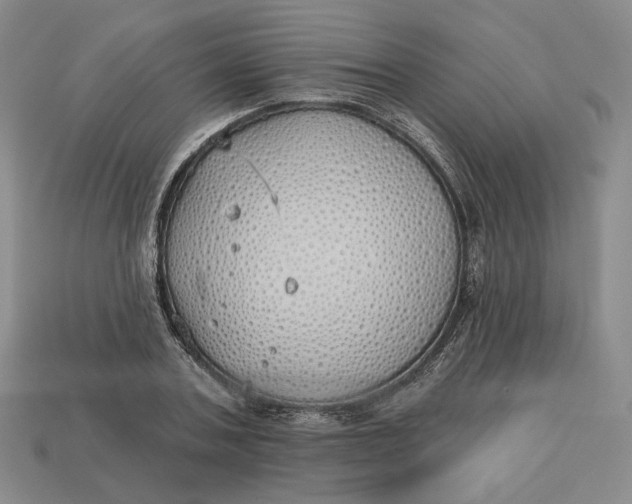 X0000112760787200909101529