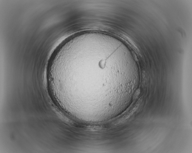 X0000112760788200909101529