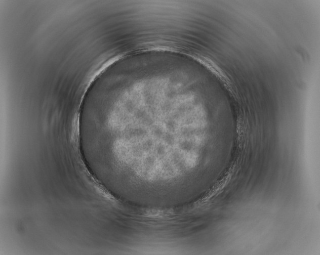 X0000112760790200909101529