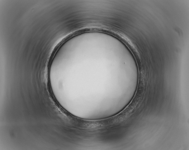 X0000112760791200909101529