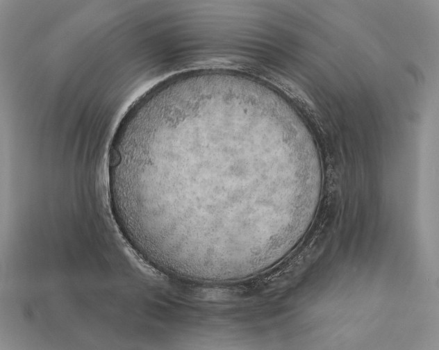 X0000112760792200909101529