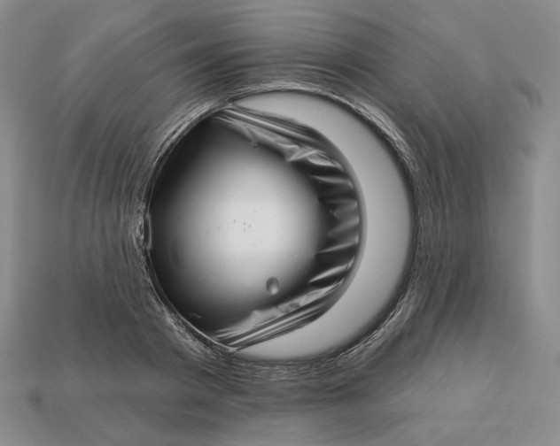 X0000112760793200909101529