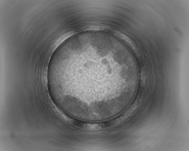 X0000112760794200909101529