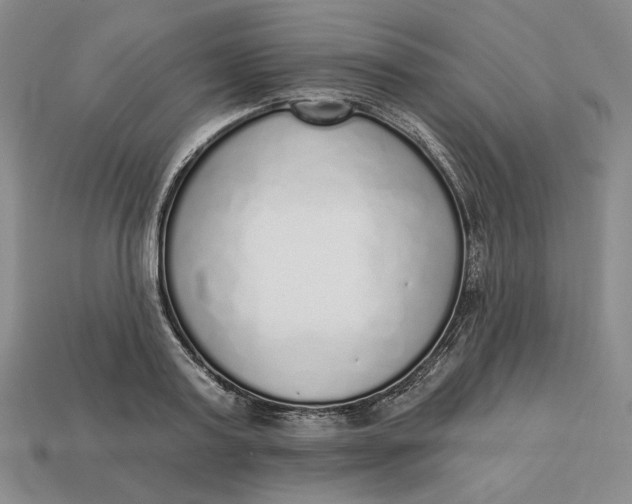 X0000112760795200909101529
