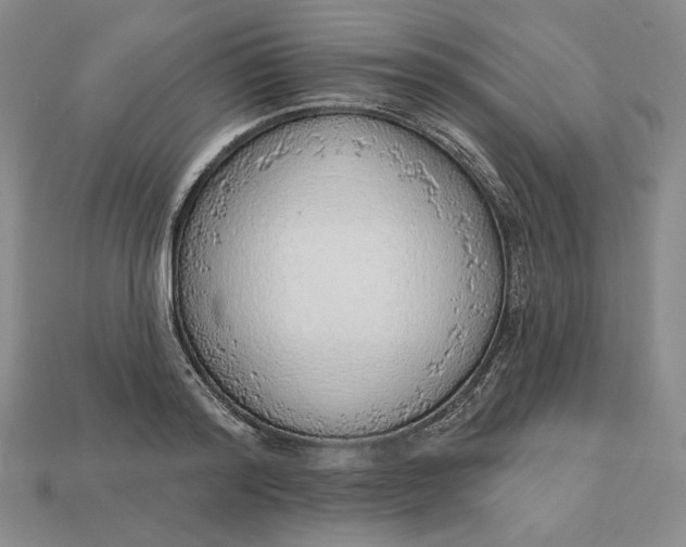 X0000112760796200909101529