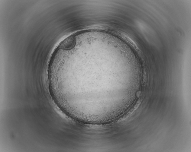 X0000112760800200909101529