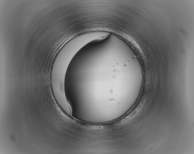 X0000112760801200909101529