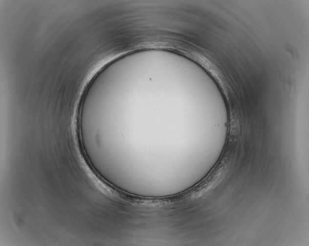 X0000112760803200909101529