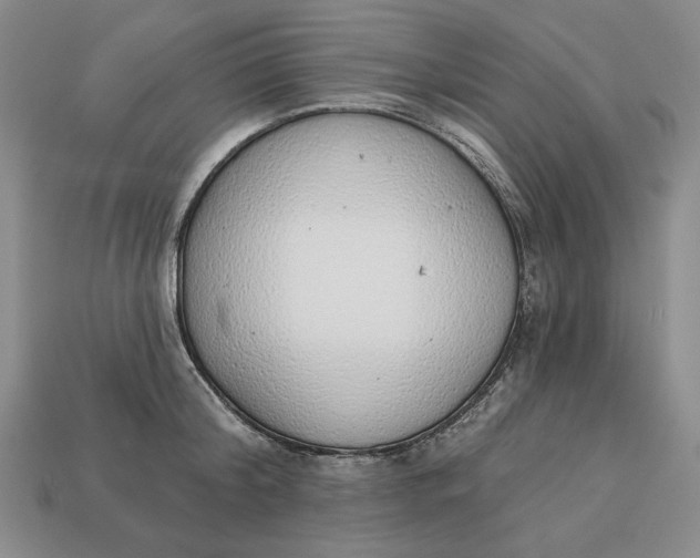 X0000112760804200909101529