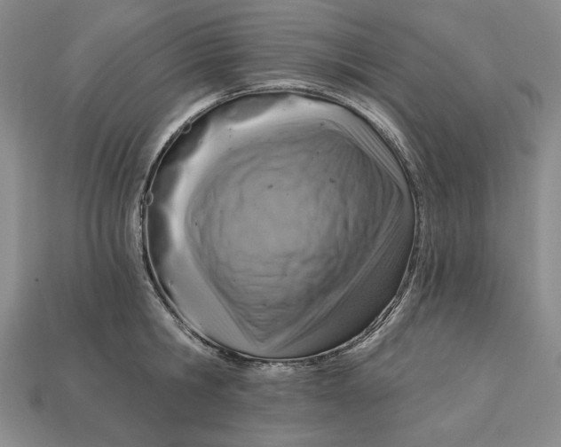 X0000112760806200909101529