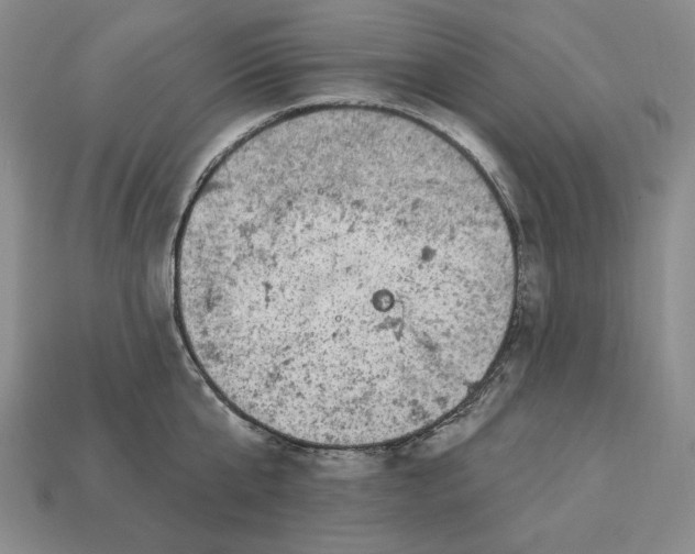 X0000112760807200909101529