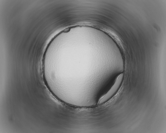 X0000112760808200909101529