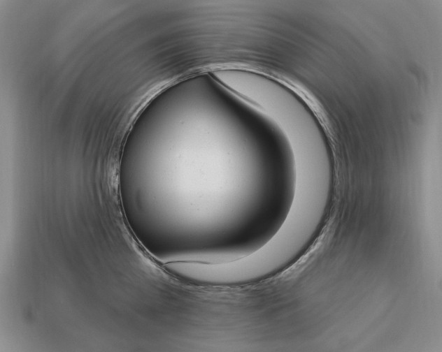 X0000112760809200909101529