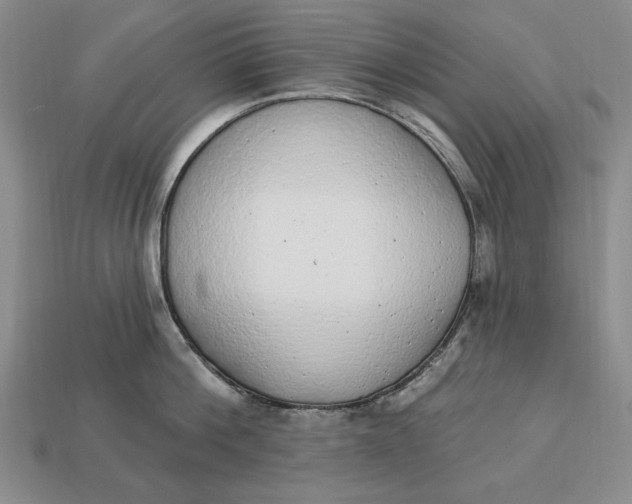 X0000112760812200909101529