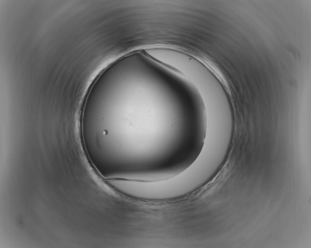 X0000112760813200909101529