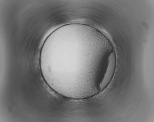 X0000112760816200909101529
