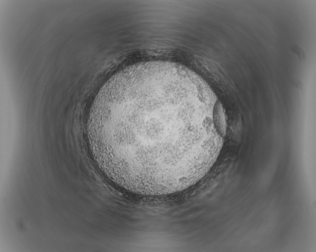X0000112760817200909101528