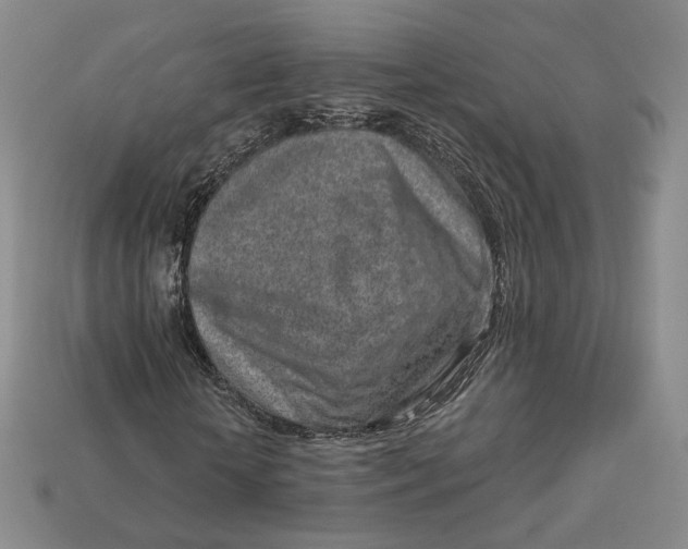 X0000112760818200909101528